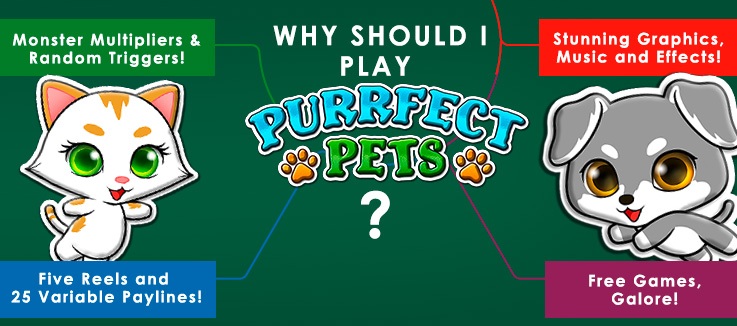 PurrfectPets