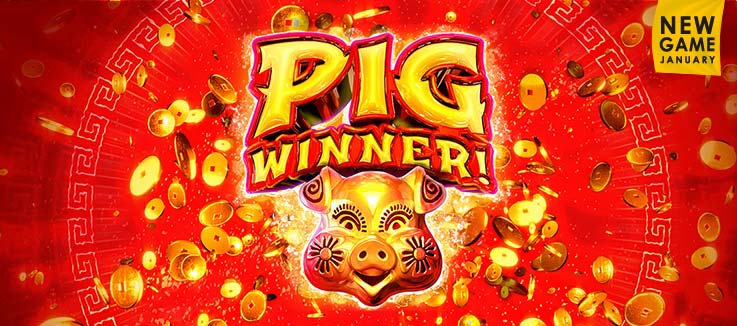 Pig Winner