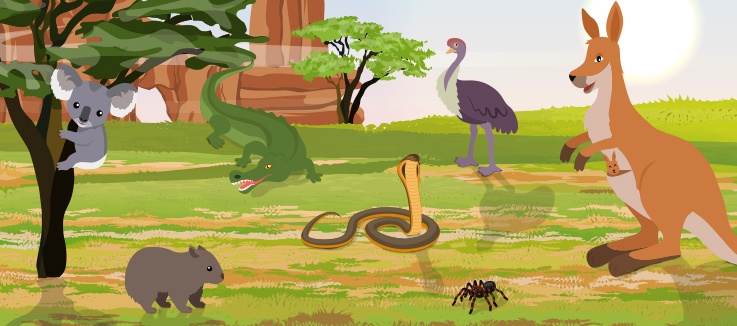 animals invading Australian homes
