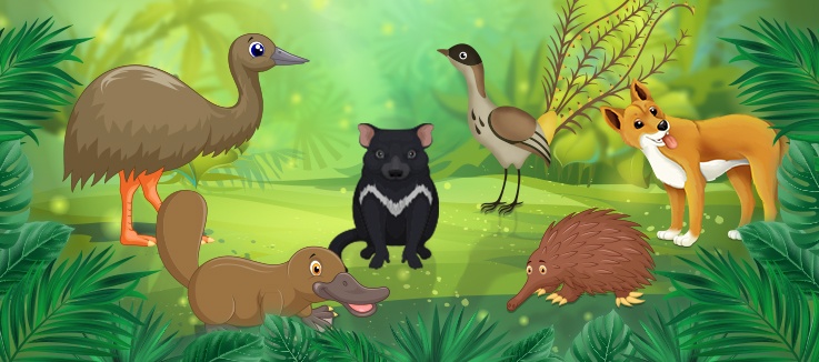 5 wild and wonderful Australian animals you never knew existed