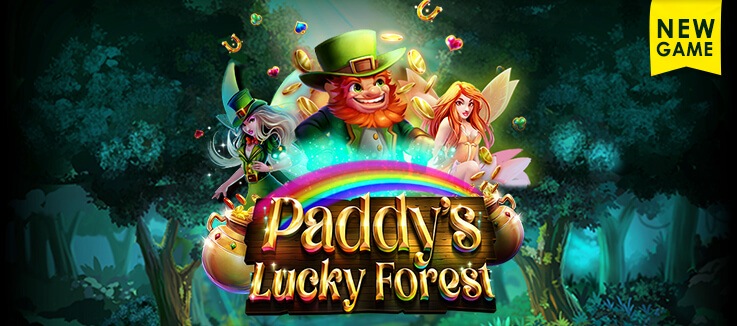 New Game: Paddy