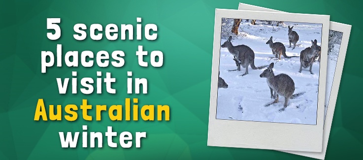 Where to travel in Australian winter 