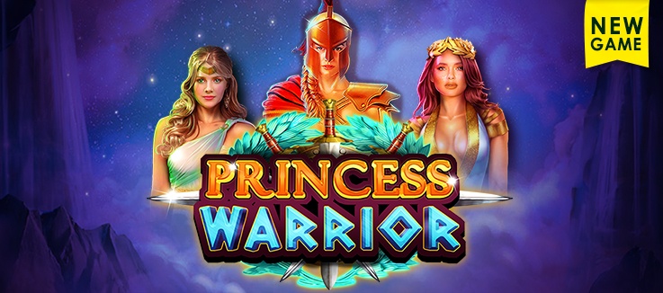 New Game: Princess Warrior