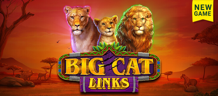 New Game: Big Cat Links