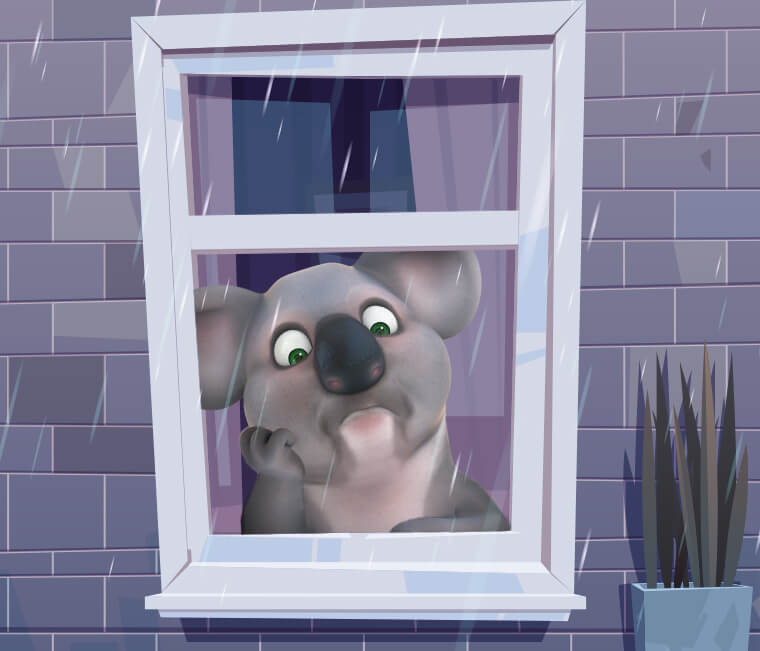 Kev the Koala looking through the window